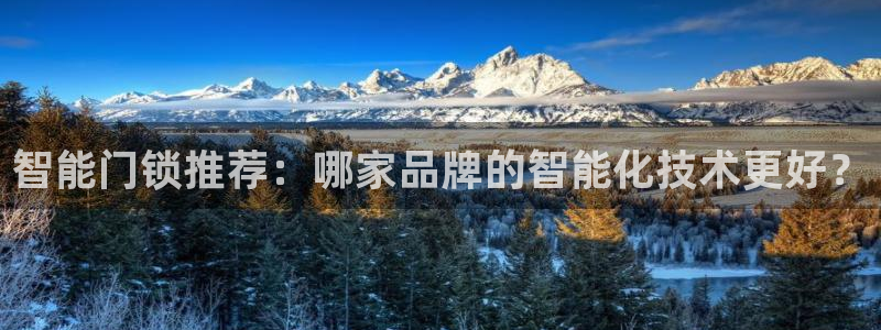 开丰娱乐登录注册：智能门锁推荐：哪家品牌的智能化技术更好？