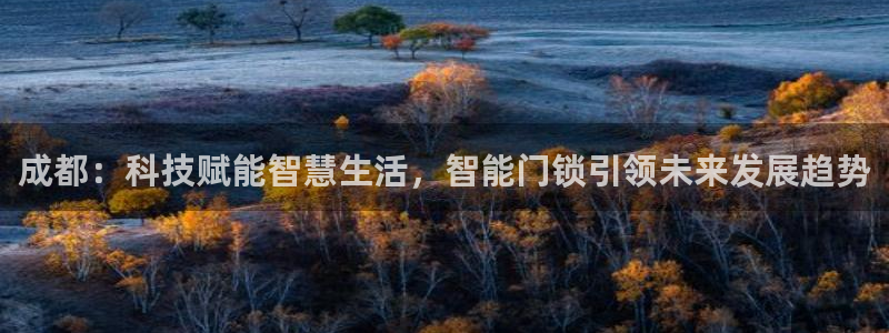 开丰娱乐登入地址是什么：成都：科技赋能智慧生活，智能门锁引领