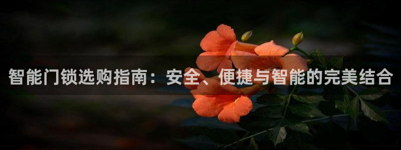 开丰娱乐主管：智能门锁选购指南：安全、便捷与智能的完美结合