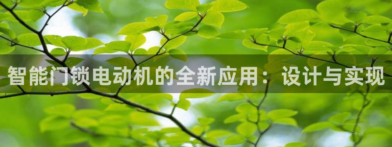 开丰娱乐平台登录网址：智能门锁电动机的全新应用：设计与实现