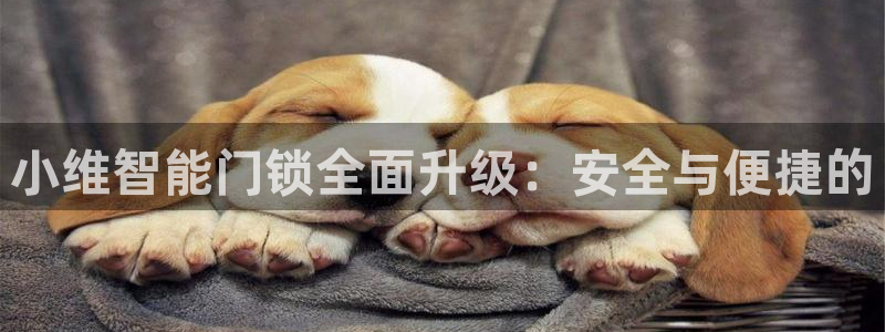 开丰娱乐注册资金多少：小维智能门锁全面升级：安全与便捷的