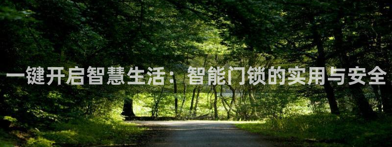 开丰娱乐登陆：一键开启智慧生活：智能门锁的实用与安全