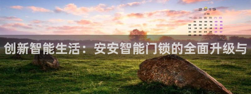 开丰娱乐优七九九47：创新智能生活：安安智能门锁的全面升级与