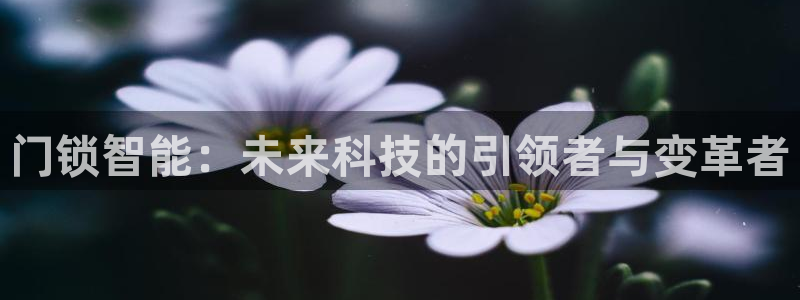 开丰娱乐下7O667：门锁智能：未来科技的引领者与变革者