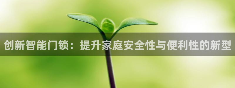 开丰娱乐官网首页：创新智能门锁：提升家庭安全性与便利性的新型