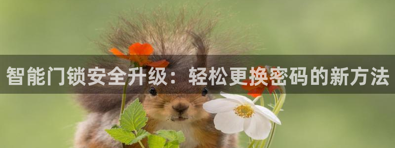 开丰娱乐科技：智能门锁安全升级：轻松更换密码的新方法