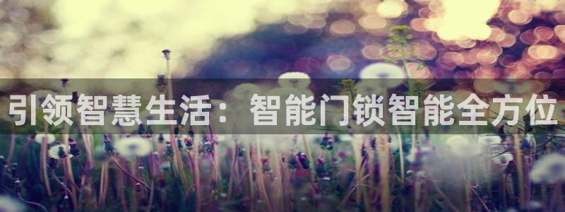 开丰娱乐官网最新消息：引领智慧生活：智能门锁智能全方位