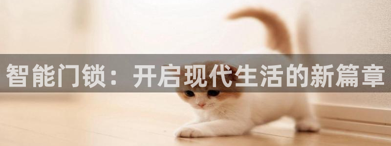 下载开丰娱乐：智能门锁：开启现代生活的新篇章