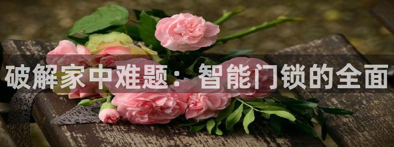 开丰娱乐行业恢复时间：破解家中难题：智能门锁的全面