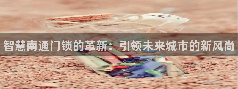 圩丰刚开的娱乐场所：智慧南通门锁的革新：引领未来城市的新风尚