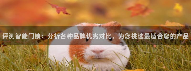 开丰娱乐会员中心：评测智能门锁：分析各种品牌优劣对比，为您挑