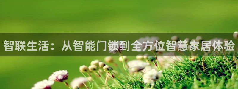 开丰娱乐予 7O935：智联生活：从智能门锁到全方位智慧家居