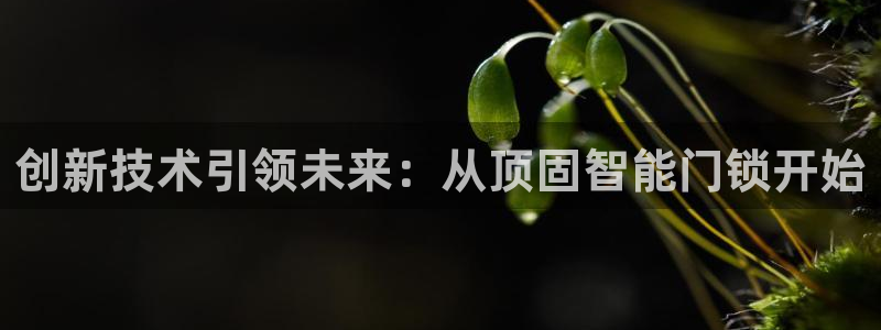 下载开丰娱乐：创新技术引领未来：从顶固智能门锁开始