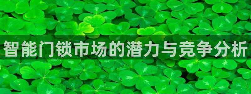 开丰娱乐官网平台网址：智能门锁市场的潜力与竞争分析