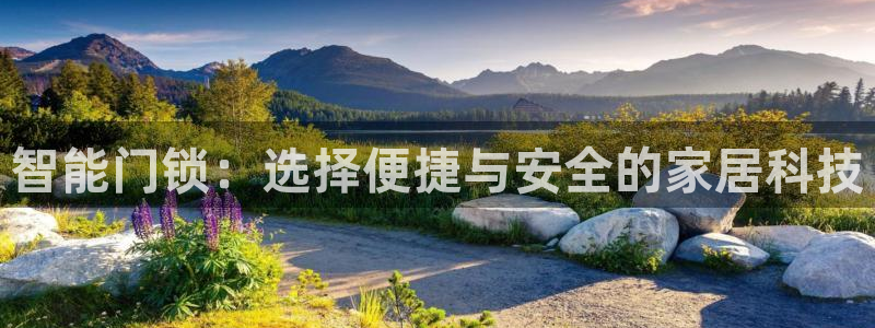 开丰娱乐后7O667：智能门锁：选择便捷与安全的家居科技