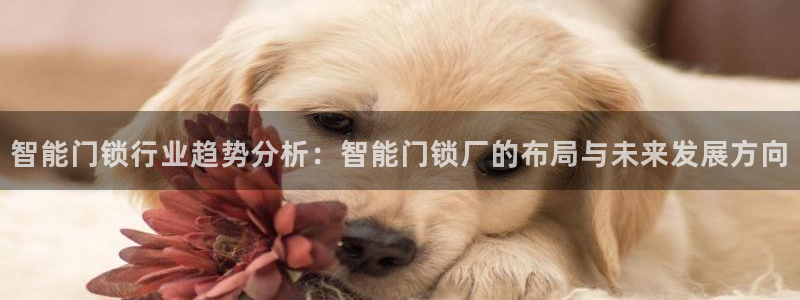 开丰娱乐科技：智能门锁行业趋势分析：智能门锁厂的布局与未来发