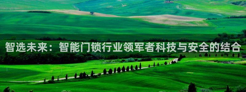 开丰娱乐除7O777：智选未来：智能门锁行业领军者科技与安全