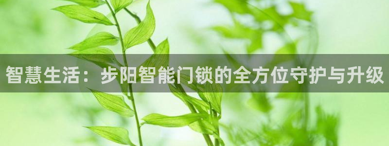 开丰娱乐平台地址在哪里：智慧生活：步阳智能门锁的全方位守护与