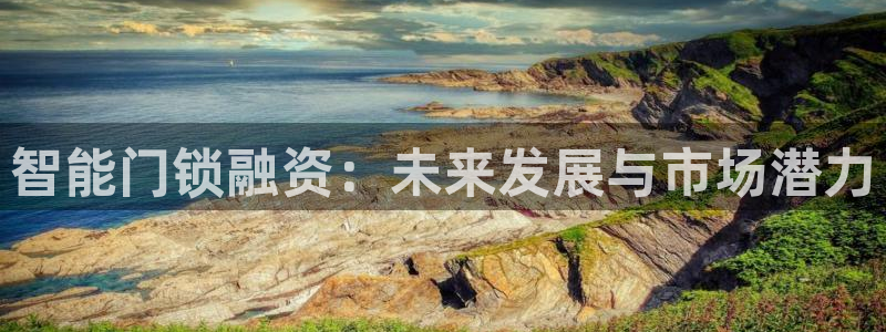 开丰娱乐开户：智能门锁融资：未来发展与市场潜力