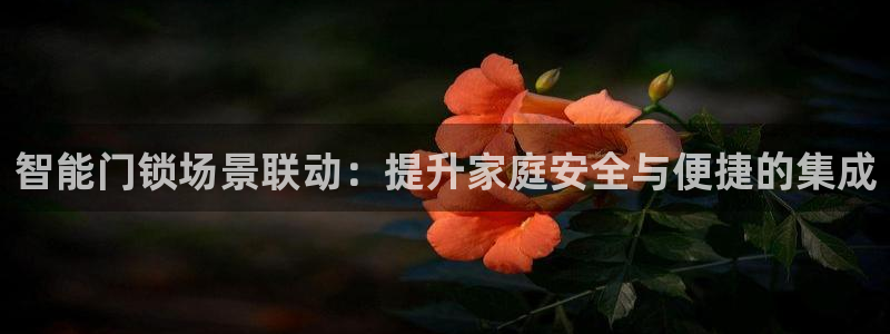 开丰娱乐左：智能门锁场景联动：提升家庭安全与便捷的集成