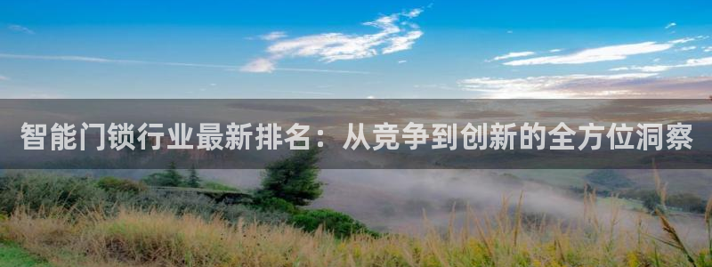 开丰娱乐官网平台登录：智能门锁行业最新排名：从竞争到创新的全