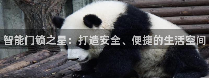 开丰娱乐天7O667：智能门锁之星：打造安全、便捷的生活空间