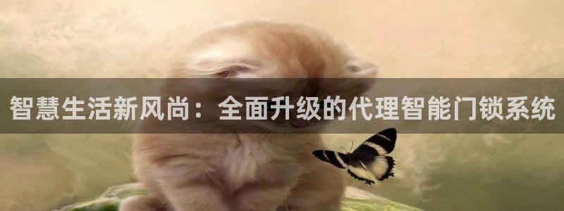 开丰娱乐官网平台登录：智慧生活新风尚：全面升级的代理智能门锁