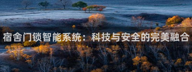 开丰娱乐平台地址在哪里：宿舍门锁智能系统：科技与安全的完美融