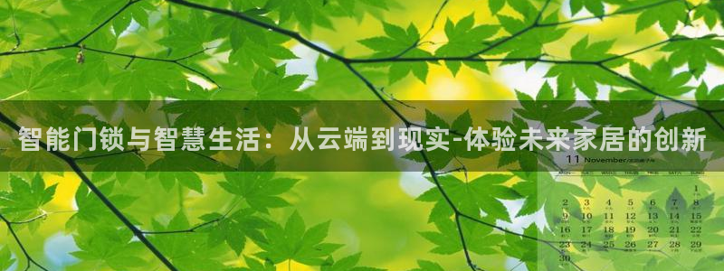 开丰娱乐予 7O935：智能门锁与智慧生活：从云端到现实-体