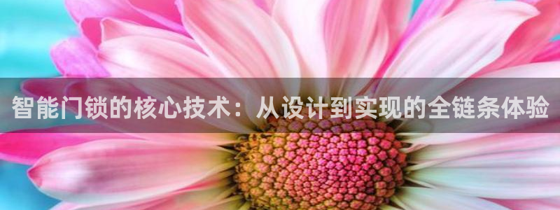 开丰娱乐巾67五壹叁八：智能门锁的核心技术：从设计到实现的全