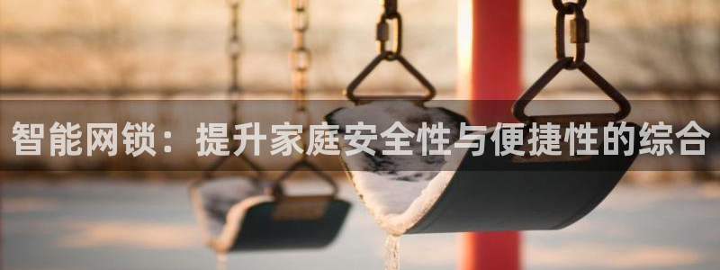 开丰娱乐平台地址查询：智能网锁：提升家庭安全性与便捷性的综合