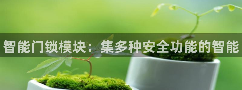如何注册开丰娱乐账号：智能门锁模块：集多种安全功能的智能