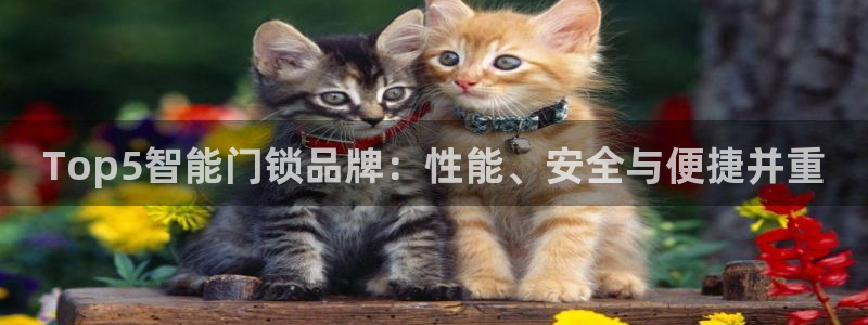 开丰娱乐app：Top5智能门锁品牌：性能、安全与便捷并重