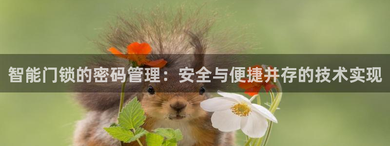 开丰娱乐与六七五一38：智能门锁的密码管理：安全与便捷并存的