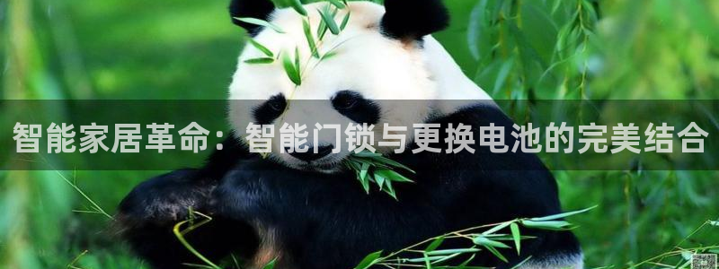 开丰娱乐登入地址查询：智能家居革命：智能门锁与更换电池的完美