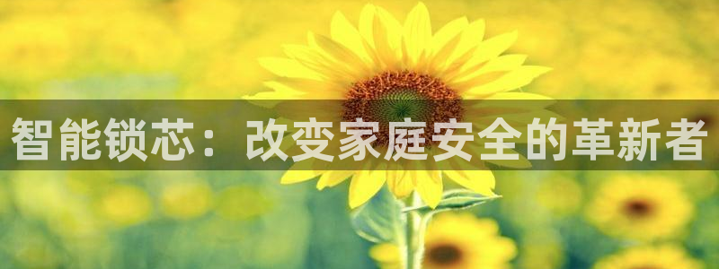 开丰娱乐咋7O777：智能锁芯：改变家庭安全的革新者
